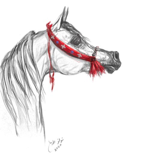 Arabian Horse Sketch, Arabian Horse Drawing, Arabian Oryx, Arabian Horse Art, Horse Stencil, Horse Art Drawing, Horse Sketch, Horse Anatomy, Animal Artwork