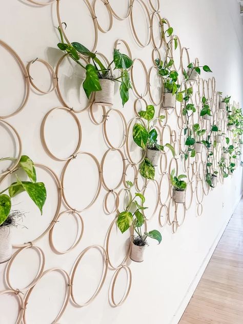 Hanging House, Indoor Plant Wall, Plant Wall Decor, Decor Eclectic, Home Decor Idea, House Plants Decor, Ornamental Plants, Room With Plants, Home Decorating Ideas