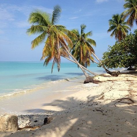 La Belle Plage, Haiti Haitian Beaches, Port Salut, Milkshake Recipe Easy, Milkshake Recipe, Samsung Galaxy Wallpaper, Galaxy Wallpaper, Haiti, Kerala, Trip Planning