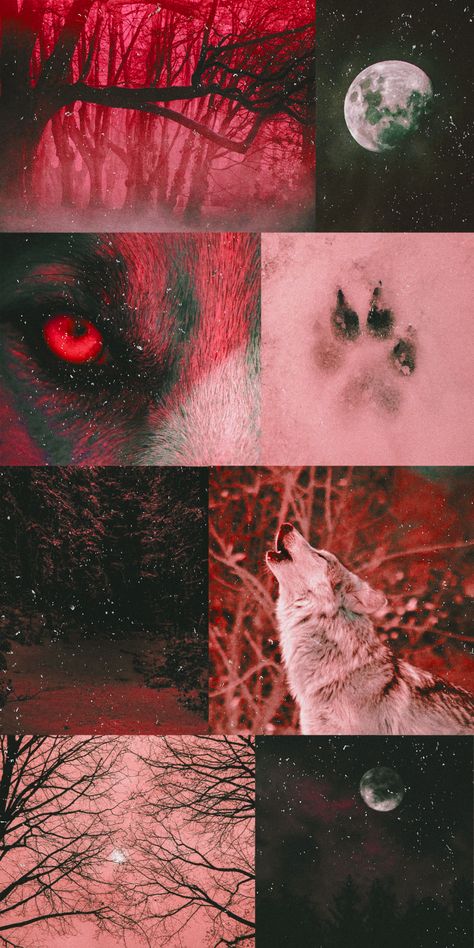 Wolf Phone Background, Wolf Wallpaper Iphone Aesthetic, Wolf Collage Wallpaper, Were Wolf Aesthetic, Werewolf Aesthetic Wallpaper, Red Wolf Wallpaper, Ultima Werewolf, Wolf Wallpaper Aesthetic, Werewolf Fanart