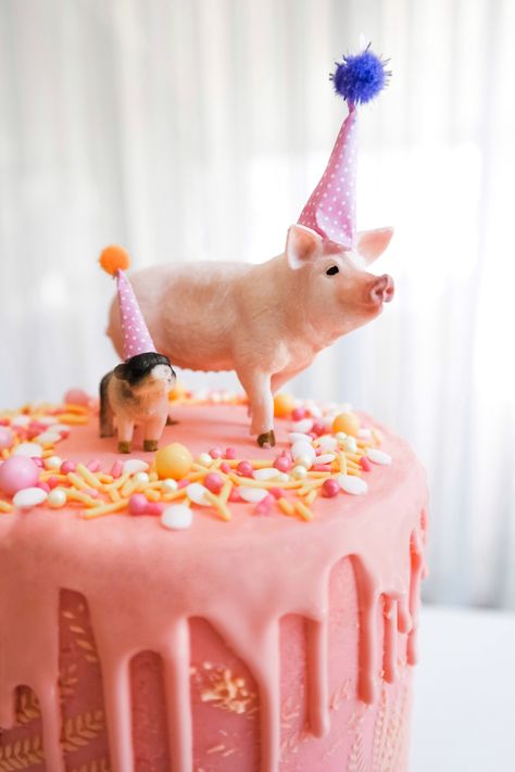 Party pig cake Pig Face Cake, Piggy Cake Ideas, Pigs Birthday Cake, Pig Cake Design, Pig Cake Ideas, Pig Themed Birthday Party, Piggy Birthday, Piggy Cake, Pig Cakes