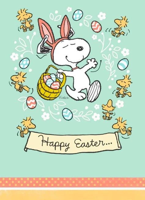 Bunny Snoopy - Happy Easter quotes easter holiday snoopy easter pictures happy easter easter.pics happy easter snoopy quotes easter 2024 quotes Holiday Snoopy, Charlie Brown Easter, Easter Pics, Happy Easter Pictures, Happy Easter Quotes, Snoopy Easter, Easter Cartoons, 2024 Quotes, Easter 2024