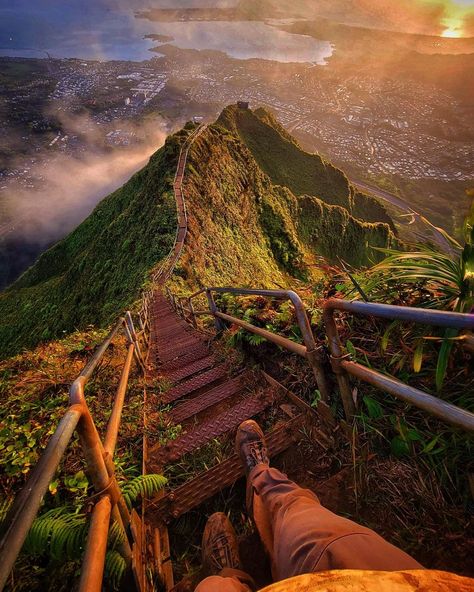 Hiking the Stairway to Heaven in Hawaii! 🍃🧡 - Travel Hacks Dat Stairway To Heaven Hawaii, Hawaii Hikes, Hawaiian Travel, Way To Heaven, Hawaii Usa, Asia Destinations, Stairway To Heaven, To Heaven, North America Travel