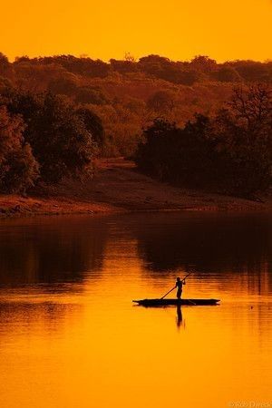 We end our spotlight on #Botswana for the week with this beautiful sunset shot at the #Chobe National Park. #sundaysunsets #greatsafaris #safari Botswana Culture, Botswana Travel, Luxury African Safari, Chobe National Park, African Skies, Okavango Delta, Best Sunset, Black White Photography, Southern Africa