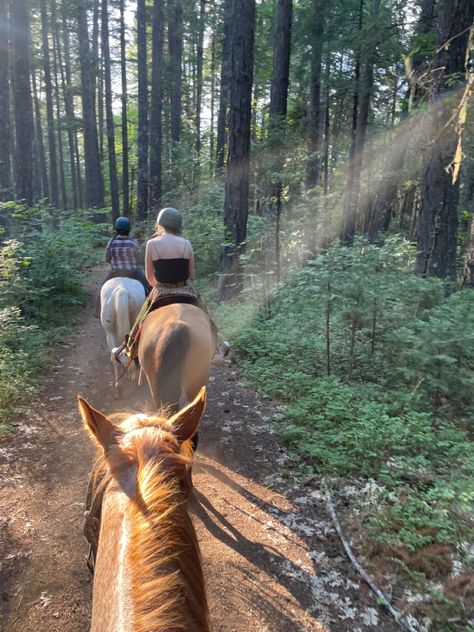 Horse Riding Mountains, Horseback Riding With Friends, Horse Riding In The Woods, Horse Trail Ride Aesthetic, Horse Riding Forest, Trail Ride Aesthetic, Trail Riding Aesthetic, Summer Horse Riding, Horse Trail Ride