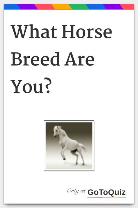 This Or That Horse Edition, Mustangs Horse, Horse Quizzes, How Much Does It Cost To Own A Horse, What Horse Breed Am I Quiz, Facts About Horses, Interesting Facts About Horses, Random Quizzes, Mustang Horse