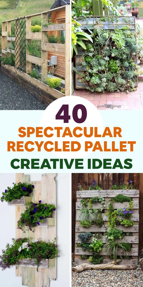 Upgrade your outdoor area with eco-friendly pallet furniture that merges chic design and sustainable practices. Design a welcoming lounge corner by transforming pallets into a snug sofa and incorporating durable cushions for all-weather comfort. Craft a striking vertical garden using pallets as stylish planters to cultivate herbs, blooms, and succulents in a space-efficient and earth-conscious manner. These repurposed pallet projects elevate your outdoor space while showcasing your passion for n Pallet Plant Hanger Wall, Pallet Living Wall, Pallet Creations Diy, Single Pallet Projects, Pallet Succulent Planter, Pallet Planters Ideas, Planters From Pallets, Pallet Planter Wall, Wood Projects Garden