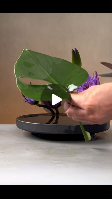 Chinese Flower Arrangement, Tropical Flower Arrangements Diy, Ikebana Arrangement, Trending Diy, Arreglos Ikebana, Flowers Composition, Japanese Plants, Modern Floral Arrangements, Tropical Flower Arrangements