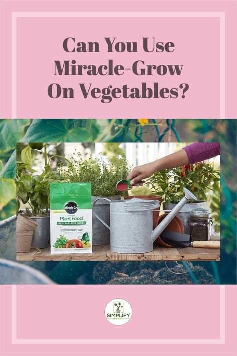 Miracle-Grow can be applied on both edible and ornamental plants. It depends on how you wish to garden. // Chemical Fertilizers // Vegetable Growing // Gardening //#backyardgardening #miraclegrow #vegetablefertilizers Miracle Grow Diy, Border Flowers, Garden Improvement, Miracle Grow, Vegetable Garden Raised Beds, Growing Greens, Thriving Garden, Flowers Ideas, Ornamental Plants