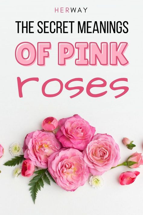 What do pink roses mean? What about blue or peach roses? Read on for ideas on how to use the secret language of flowers to send a message. Rose Meaning, Rose Quotes, The Language Of Flowers, Secret Language, Zodiac Sign Traits, Dream Meanings, Pink Quotes, Language Of Flowers, Peach Flowers