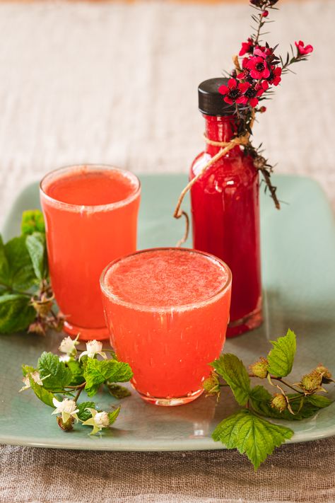 RHUBARB & RASPBERRY SHRUB (Sweet Vinegar Cordial) - Homegrown Kitchen Raspberry Shrub Recipe, Elven Food, Rhubarb Shrub, Shrub Drink, Fermentation Station, Shrub Recipe, Raspberry Cordial, Cordial Recipe, Roasted Rhubarb