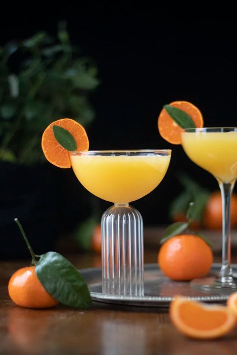 Mandarin Ginger Gin Sour - Moody Mixologist Moody Mixologist, Easy Gin Cocktails, Mandarin Juice, Gin Sour, Citrus Squeezer, Ginger Syrup, Orange Party, Cocktail Ingredients, Gin Cocktails