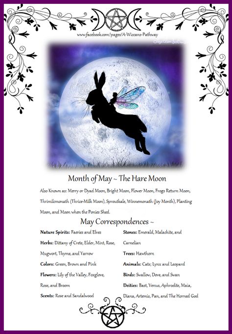 Hare Moon, Moon Witch, Witches Cauldron, Month Of May, Nature Spirits, Scorpio Moon, Season Of The Witch, Taurus And Gemini, Beltane