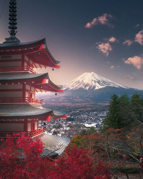 Japan Tourist Spots, Japan Tourist, Monte Fuji, Japan Garden, View Point, Morning View, Mt Fuji, Mount Fuji, Tourist Spots