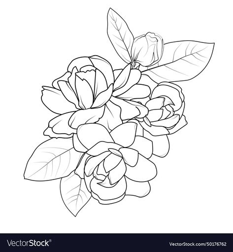 Jasmine Flower Drawing Tattoo, Jasmine Flower Sketch, Flower Drawing Realistic, Flower Drawing Outline, Flower Tattoo Minimalist, Jasmine Flower Drawing, Flower Drawing Tattoo, Jasmine Flower Tattoo, White Jasmine Flower