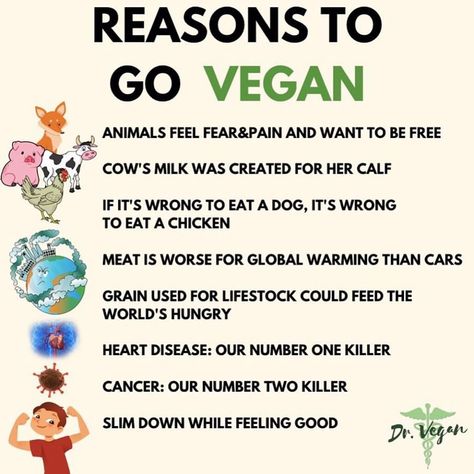 1,123 Likes, 19 Comments - Plant Power 🌱 (@theplantbasedpage) on Instagram: “There are many reasons why we changed to a plant based diet, here are just a few 🌱🍉🍌🥦 – 📸 @dr.vegan” Dr Vegan, Biodiversity Loss, Reasons To Be Vegan, Reasons To Go Vegan, Hungry Hearts, Being Vegan, Vegetarian Meal Plan, Vegan Guide, Animal Agriculture