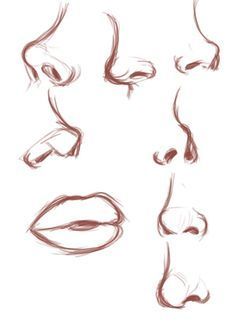 Drawing Female Nose, Nose Drawing Female, Slight Side Profile Drawing, Drawing Guidelines Face, Female Nose Reference, Female Nose Drawing Reference, Girl Nose Drawing, Side Profile Nose Drawing, Face Shape Drawing Reference