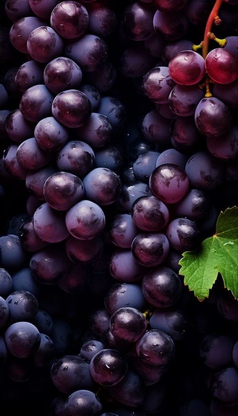 Grape Wallpaper, Planting Vines, Fruits And Vegetables Pictures, Grape Vineyard, Beautiful Summer Wallpaper, Vegetable Pictures, Fruits Images, Fruit Wallpaper, Still Life Fruit