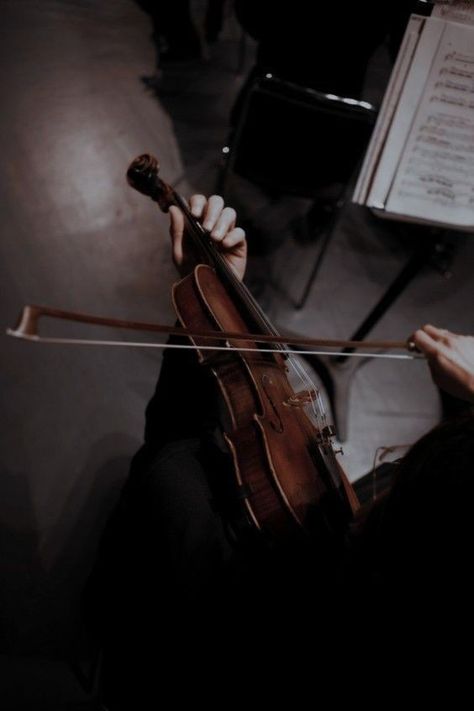 Art Academia, Gil Scott Heron, Infernal Devices, The Infernal Devices, Dark Academia Aesthetic, Music Aesthetic, Fantasy Aesthetic, Academia Aesthetic, Violinist