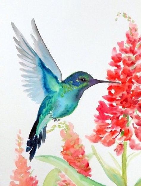 Paintings Of Hummingbirds, Humming Bird Painting Acrylics, Hummingbird Art Painting, Humming Bird Watercolor, Hummingbird Paintings, Hummingbird Painting Acrylic, Hummingbird Drawing, Bird Painting Acrylic, Hummingbird Pictures