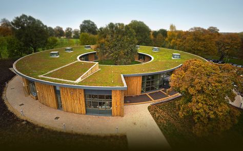 Specialists in Green Roofs, Grass Roofs and Eco Roofs | Sky Garden Case Sotterranee, Eco Roof, Sedum Roof, Green Roof System, Grass Roof, Round Building, Earth Sheltered, Living Roofs, Underground Homes