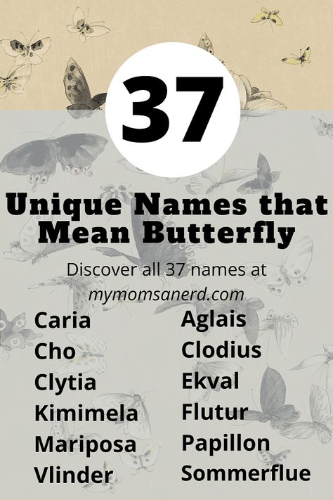 Name That Means Butterfly, Butterfly Names With Meaning, Names That Mean Butterfly, Names Meaning Butterfly, Butterfly Names, Names For Girl, Majestic Names, Magic Names, Butterfly Meaning