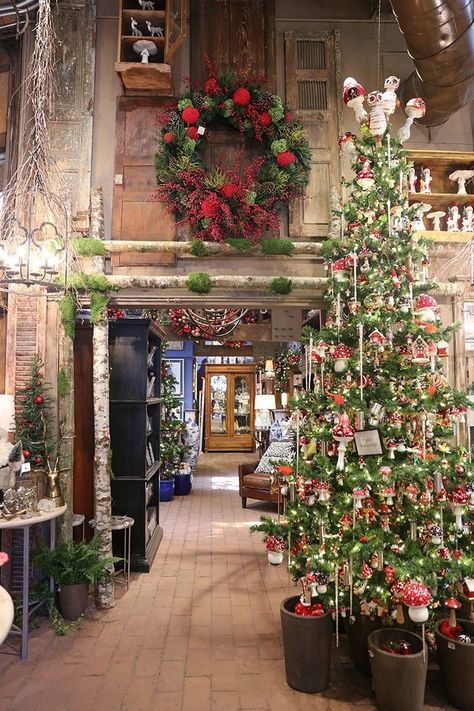 Rogers Gardens Christmas, Christmas Store Displays, Frosted Gingerbread, Christmas Boutique, Botanical Christmas, Christmas Booth, Enchanted Christmas, Christmas Entry, Rogers Gardens