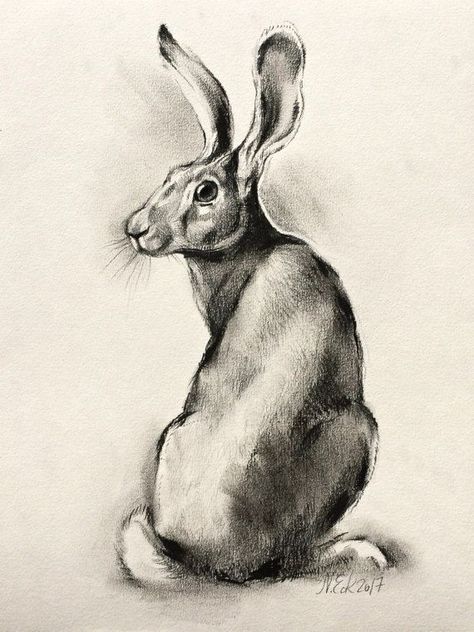 Hare Sketch, Hare Drawing, Hare Pictures, Hare Illustration, Hare Painting, Rabbit Pictures, Rabbit Drawing, Bunny Drawing, Rabbit Art