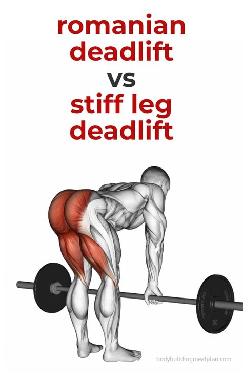 At Home Deadlift Workout, Romanian Deadlift Vs Stiff Leg Deadlift, Deadlifts For Back, Stiff Legged Deadlift, Dumbbell Stiff Leg Deadlift, Stiff Legs Exercise, Stiff Leg Deadlift How To Do, Rdl Vs Deadlift, Deadlift Form Women