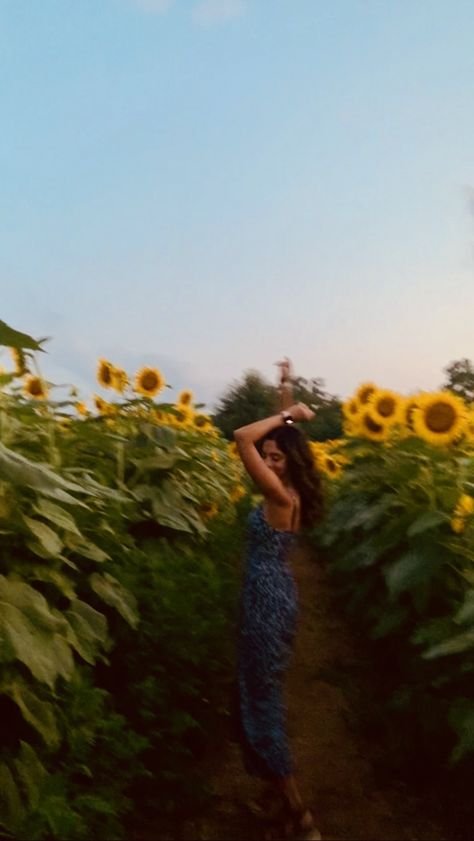 Senior Sunflower Pictures, Sunflower Field Pics, Sunflower Field Picture Ideas, Sunflower Fields Photoshoot, Sunflower Pictures Photography, Sunflower Maze Photoshoot, Sunflower Instagram Pictures, Sunflower Farm Photoshoot, Sunflower Patch Photoshoot