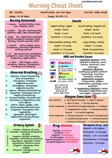 3. Nursing Cheat Sheet - Eupnea: normal breathing rate and pattern Tachypnea: increased respiratory - Studocu Nursing Iv Fluids Cheat Sheets, Nursing Mnemonics Fundamentals, Nursing Abbreviations Cheat Sheets, Respiratory Meds Nursing, Patient Positioning Cheat Sheet, Clinical Decision Making Nursing, Breath Sounds Nursing, Respiratory Disorders Nursing, Pathophysiology Nursing Study Guides Respiratory