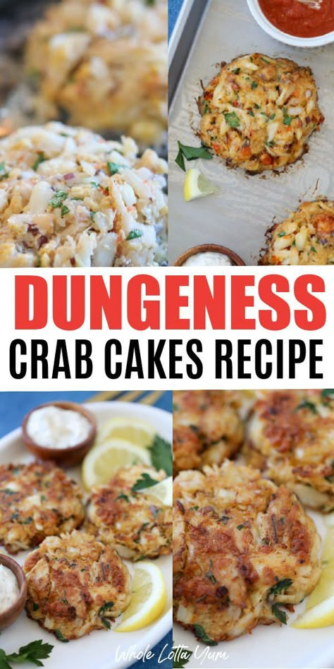 Seriously the BEST Dungeness crab cakes recipe with little filler. Whether you're catching live crab or buying them pre-cooked from the grocery store we show you how to make easy crab cakes with Dungeness crab. It's delicious! Fresh Dungeness Crab Recipes, Crab Dungeness Recipe, Frozen Dungeness Crab Recipes, Cooked Dungeness Crab Recipes, Dungeons Crab Recipe, Dungenous Crab Recipes, Dungeness Crab Cakes Recipe, Seafood Patties, Recipe For Crab Cakes