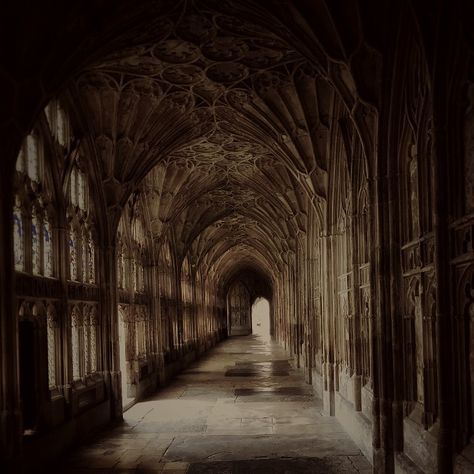 Hogwarts Grounds Aesthetic, Hogwarts School Aesthetic, Harry Potter Nature, Hogwarts Hallway, Dark Hogwarts Aesthetic, Magic School Aesthetic, Harry Potter Dr, Hogwarts Professors, Harry Potter Girl