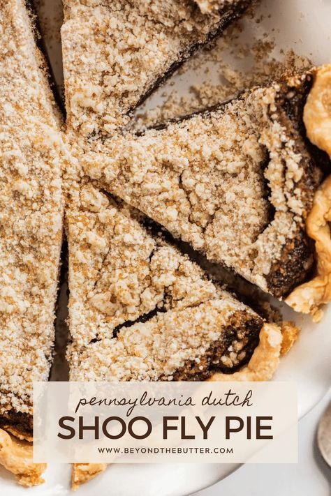 Shoo Fly Pie Recipe, Shoo Fly Pie, Yummy Pie, Crust Designs, Shoofly Pie, Yummy Pie Recipes, Goat Milk Recipes, Pie Crust Designs, Buttery Pie Crust