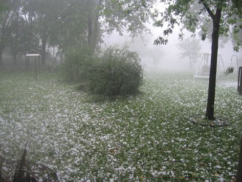 Hail Storm, It's Hard, Google Search