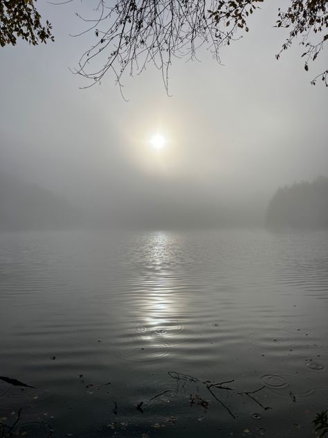 Lake in the mist ! #lake #forest #morning #mist #promenad #nature #printable #aesthetic #winter Foggy Lake Aesthetic, Misty Aesthetic, Mist Aesthetic, Mist Wallpaper, Forest Morning, Foggy Lake, Forest Mist, Mists Of Avalon, Salt City