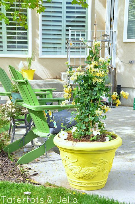 Easy Outdoor DIY: How to Spray Paint Resin Pots Easy Outdoor Diy, Resin Pots, Outdoor Spray Paint, Diy Outdoor Space, How To Spray Paint, Diy Spray Paint, Resin Planters, Modern Ideas, Beautiful Patios