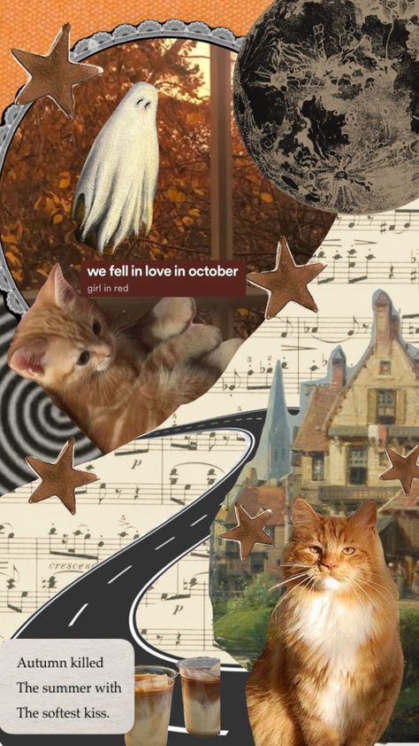 Halloween Cat Backgrounds Wallpapers, Fall Cats Wallpaper, Orange Cat Wallpaper Aesthetic, Orange Cat Background, Orange Cat Aesthetic Wallpaper, Ginger Cat Wallpaper, Autumn Cat Wallpaper, Fall Cat Wallpaper, Orange Cat Wallpaper