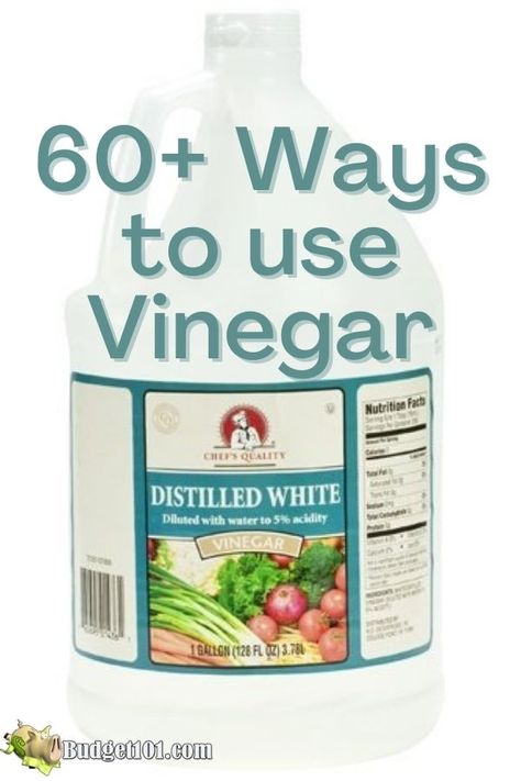 60 ways to use vinegar Distilled Vinegar Uses, White Distilled Vinegar Uses, Vinegar For Weeds, Multipurpose Products, Apple Cider Vinegar And Honey, Uses For White Vinegar, Drink Apple Cider Vinegar, Cleaning Naturally, Vinegar Benefits