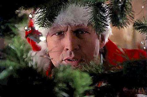 Christmas Vacation!  Look out for the squirrel, Sparky :) Best Christmas Vacations, Clark Griswold Christmas, Christmas Vacation Party, Christmas Vacation Quotes, Funny Christmas Movies, Christmas Vacation Movie, Vacation Movie, Griswold Christmas, Christmas Films