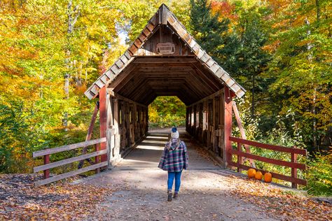 10 Amazing Places to See Fall Colors in Michigan Color Guide, November 9, Fall Color, Amazing Places, Places To See, Fall Colors, The Weekend, Travel Inspiration, The Good Place