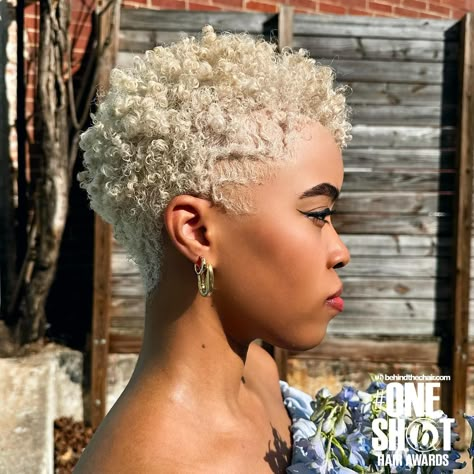 Short Blonde Natural Hair, Blonde Twa Black Women, Blonde Short Curly Hair, Short Tapered Natural Hair, Short Black Natural Hairstyles, Blonde Twa, Tapered Natural Hair Cut, Short Platinum Blonde Hair, Big Chop Natural Hair