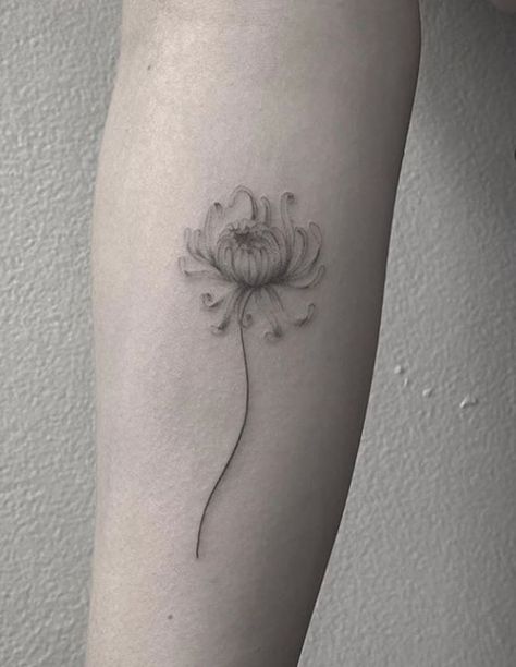 Chrysanthemum Flower Tattoo, Chrysanthemum Tattoo, M Tattoos, Birthday Tattoo, Mommy Tattoos, Birth Flower Tattoos, Floral Tattoo Sleeve, Tattoo For Son, Back Tattoo Women