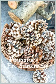 Pine Cone Fire Starters How To Make, Pine Cone Fire Starters, Pinecone Firestarters Diy, How To Make Pinecone Fire Starters, Pine Cone Fire Starter Diy, Diy Pinecone Fire Starters How To Make, Pinecone Fire Starter Diy How To Make, Diy Pinecone Fire Starters, Fire Starter Pine Cones