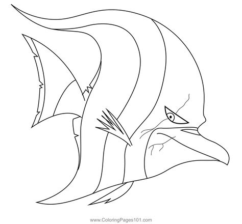 The Gill Coloring Page Gill Finding Nemo, Nemo Bathroom, Finding Nemo Coloring Pages, Nemo Coloring Pages, Colouring Page, Trunk Or Treat, Finding Nemo, Cute Little Drawings, Disney Drawings