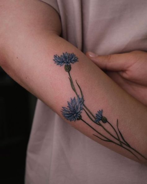 Sasha Vorobiova⋅tattoo artist on Instagram: "cornflowers 💙 in love with these details #botanicalart #botanical #botanicaltattoo #botanicalillustration #botanicaltattoos #floraltattoo #cornflowertattoo #floraltattoos #cornflowertattoos #cornflowers" Cornflower Tattoo Black, Cornflower Sketch, Blue Cornflower Tattoo, Cornflower Tattoo, Mommy Daughter Tattoos, Hand Tatto, Lilac Tattoo, Thistle Tattoo, White Tattoos