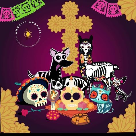 Literatura prehispánica on Instagram: “Ellos también nos visitan, no los olvides en tu ofrenda 🐱🐶🐢🦎🐇🐦🦜#amoxtliandante #mascotas #fomentoalalectura #todosantos #ofrenda #muertos” Dia De Los Muertos Decorations Ideas, Mini Altar, November 2, Mexican Style, Día De Muertos, Dia De Muertos, Day Of The Dead, The Dead, Happy Halloween