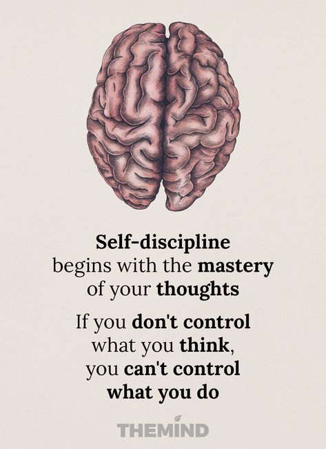 Discipline Word Art, Knowledge Is Power Art, Discipline Quotes Wallpaper, Self Discipline Wallpaper, Quotes On Discipline, Self Discipline Quotes, Discipline Quote, Teamwork Motivation, Psychology Wallpaper