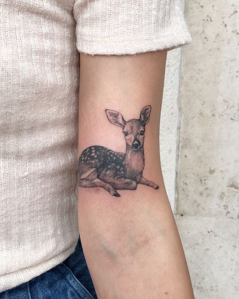 Macie’s fawn ✨reference images from @fuzzyfawnwildlife rescue ..i will be replying to all emails/dms today ❤️...#fawntattoo #deertattoo #floridatattooartist #singleneedletattoo #tattrx #naturetattoo #fawn #miamitattoo Fawn Reference, Tattoos Freedom, Baby Deer Tattoo, Fawn Tattoo, Courage Tattoos, Doe Tattoo, Tattoos Love, Freedom Tattoos, Bunny Tattoos