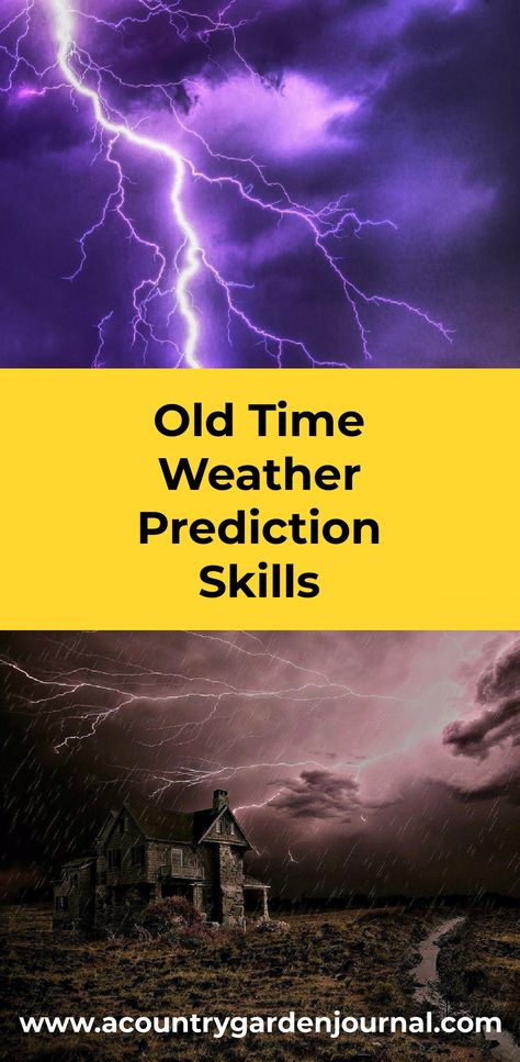 OLD-TIME WEATHER PREDICTION SKILLS - A Country Garden Journal Rainbow Meaning, Tornado Alley, Weather Predictions, Humid Weather, Garden Planner, Garden Journal, Green Sky, Evening Sky, Country Garden